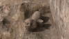 У Рівному археологи розкопали поховання IV-V століть (ВІДЕО)